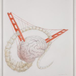 Bd Brain Bones Bridge, dessin pre ́paratoire 1, 65x50cm