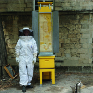  Risque d’exposition, Béziers 2020, sculpture-live sur dessin par les abeilles