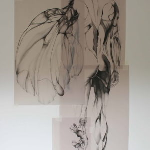 M. Fritchi-Roux Chimère 1 - 200 x 104 cm - encre sur papier calque
