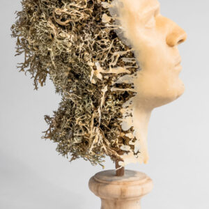 F. Chaillou - Usnea Fastigiata 2 - Cire, bois, lichens,15 - 41.5 x 23 x 20 cm