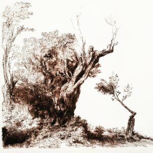Rezilientia d'après Rembrandt 
ghyslain bertholon 
Dimensions : 30x30cm
Papirer Hahnemühle 310 grammes
Tirage fine art numéroté signé 100ex