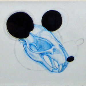 Nicolas RUBINSTEIN Dessin MiaaR , 2005, 24x32cm, crayon sur papier